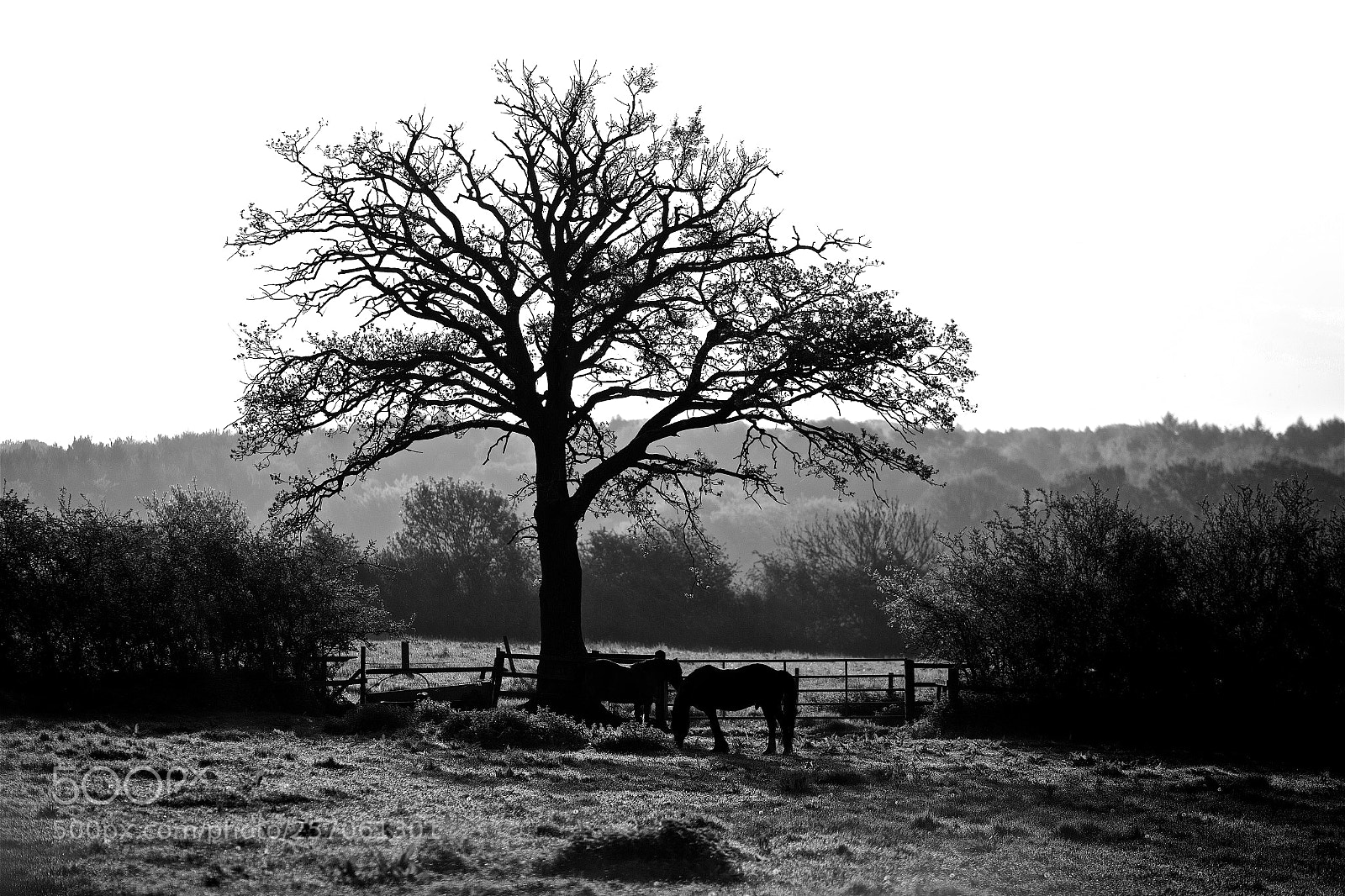 Canon EOS 6D sample photo. Country living photography