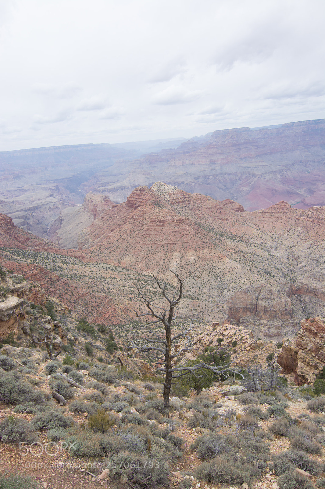 Nikon D5200 sample photo. Grand canyon 2 photography