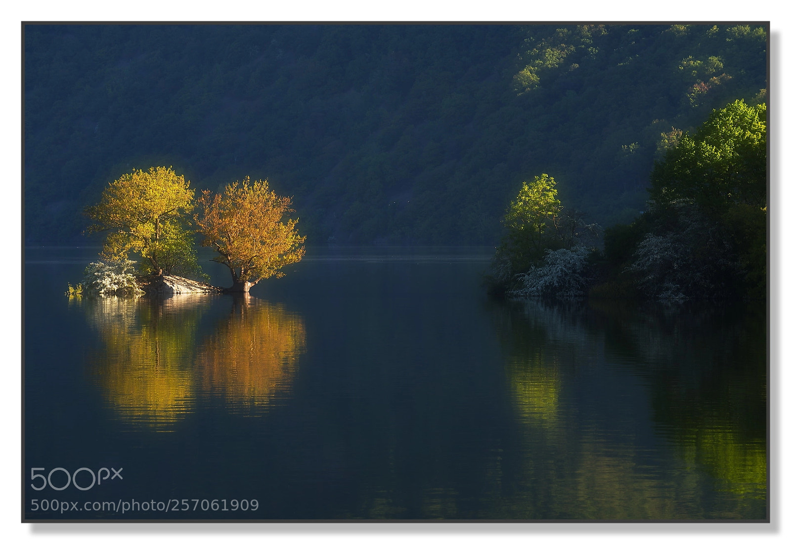Nikon D750 sample photo. Early morning light.jpg photography