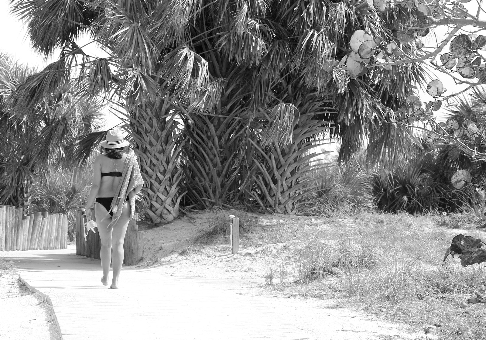 Canon EOS 600D (Rebel EOS T3i / EOS Kiss X5) sample photo. Beach photography