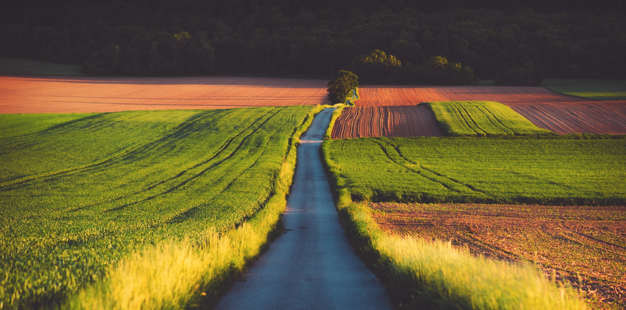 Pentax K-1 Mark II sample photo. Country road photography