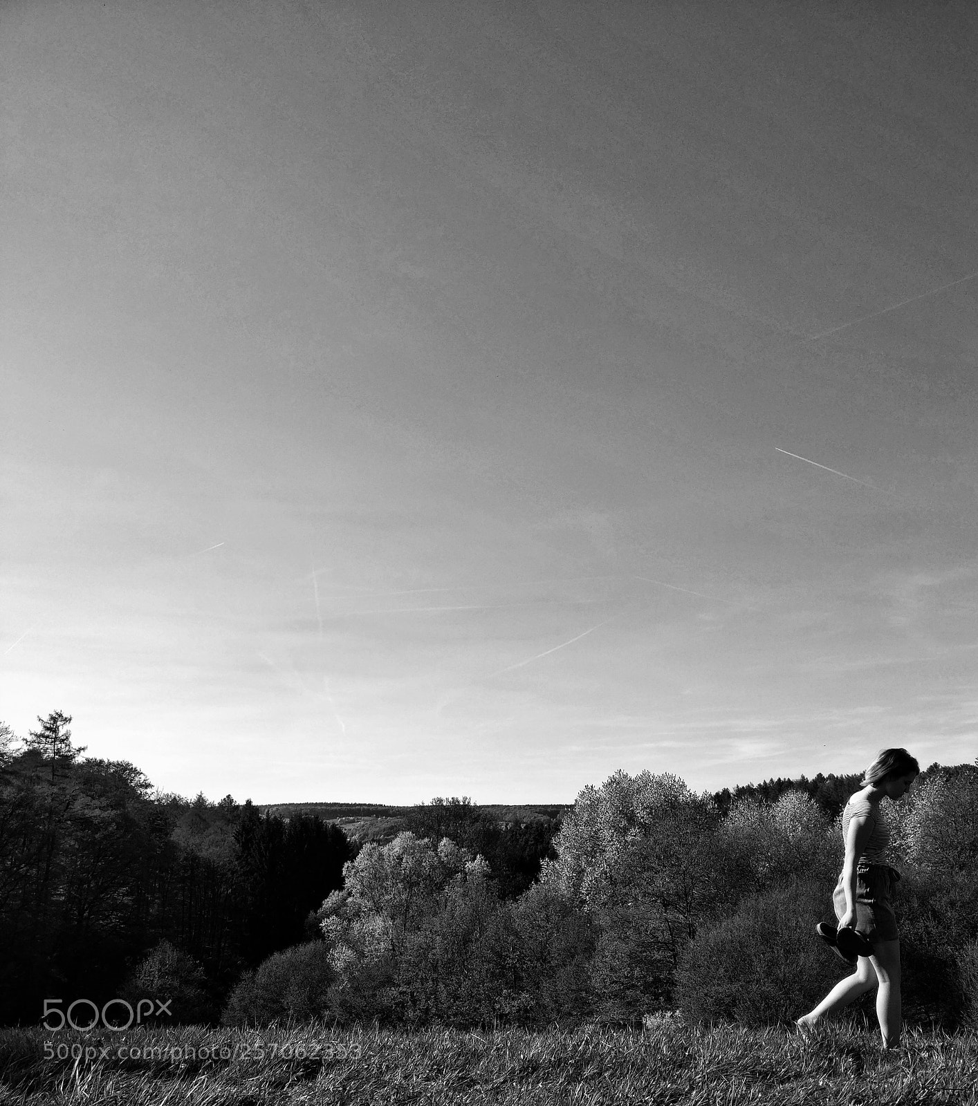 OnePlus A3003 sample photo. Nature 4 photography