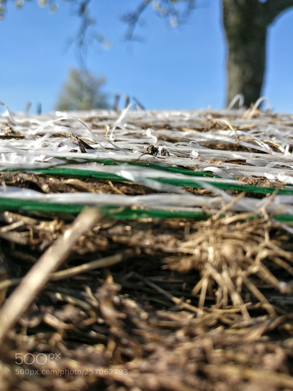 OnePlus A3003 sample photo. Abstract photography