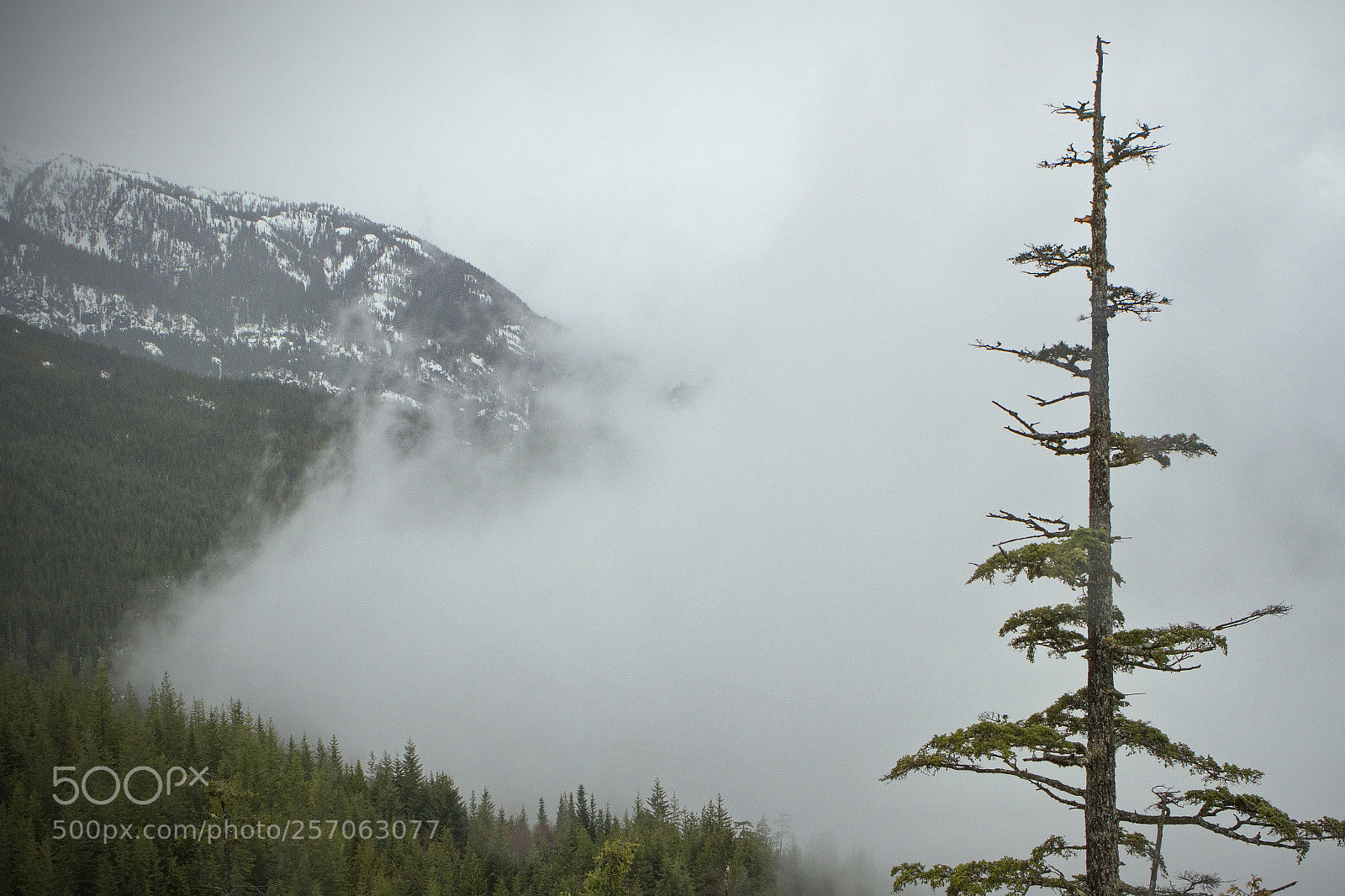 Canon EOS 7D sample photo. Mountain photography