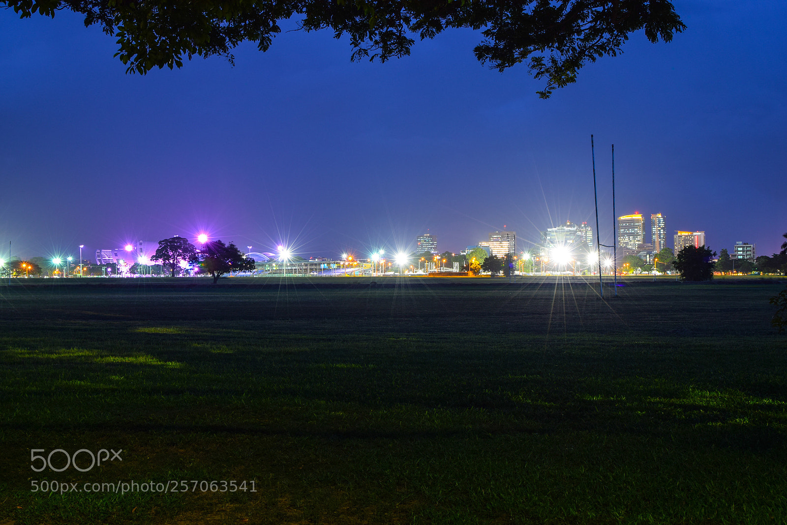 Nikon D3300 sample photo. Savannah nights photography