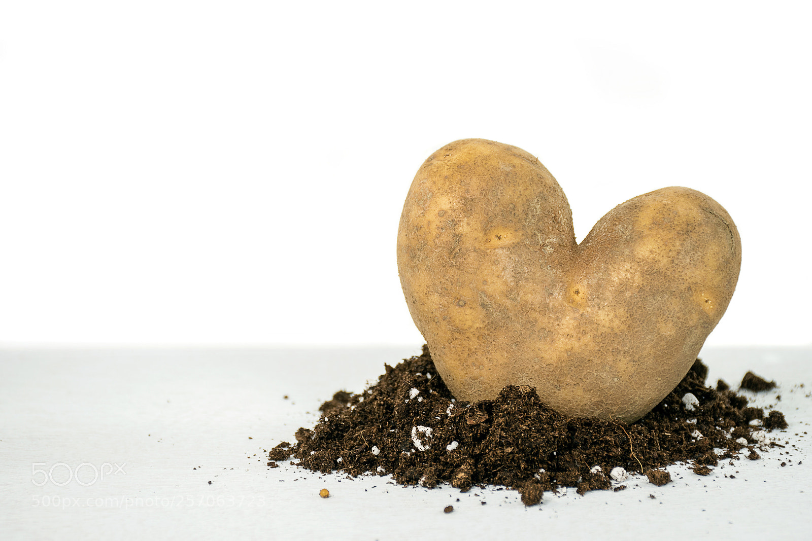 Nikon D750 sample photo. Potato heart in dirt photography
