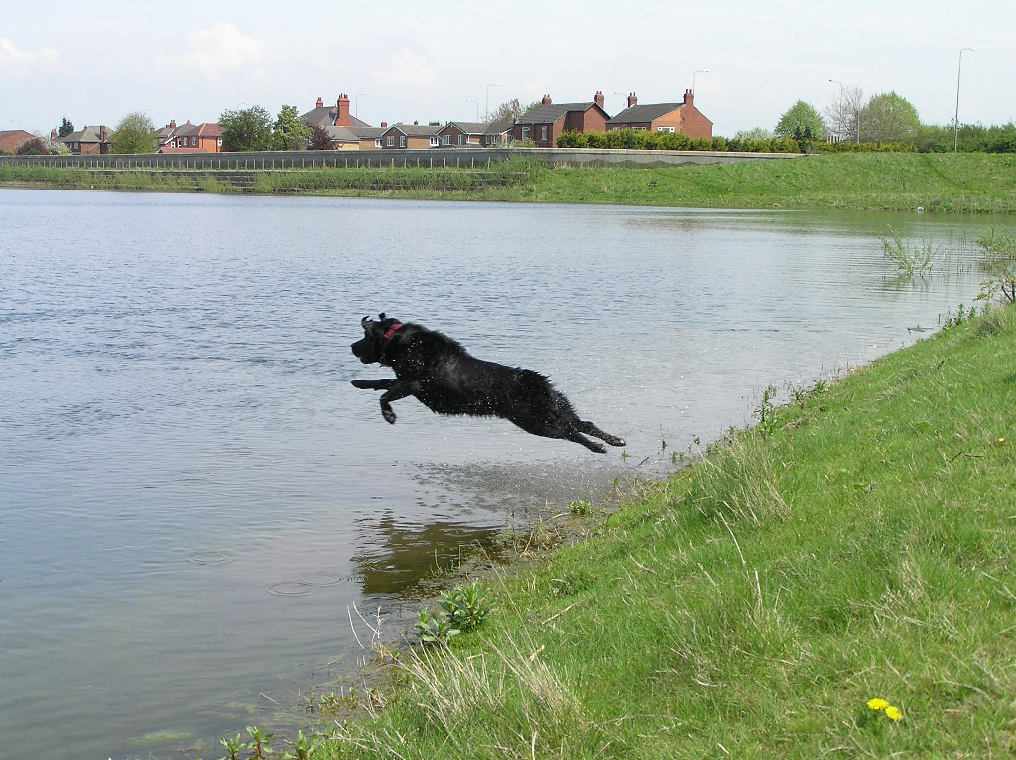 Olympus C765UZ sample photo. Rescue that drowning ball photography