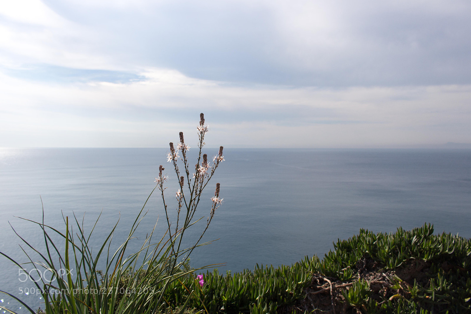 Canon EOS 700D (EOS Rebel T5i / EOS Kiss X7i) sample photo. Untitled photography