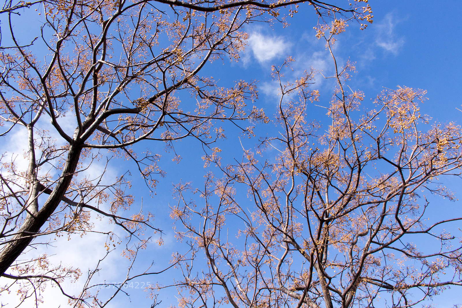 Canon EOS 700D (EOS Rebel T5i / EOS Kiss X7i) sample photo. Untitled photography