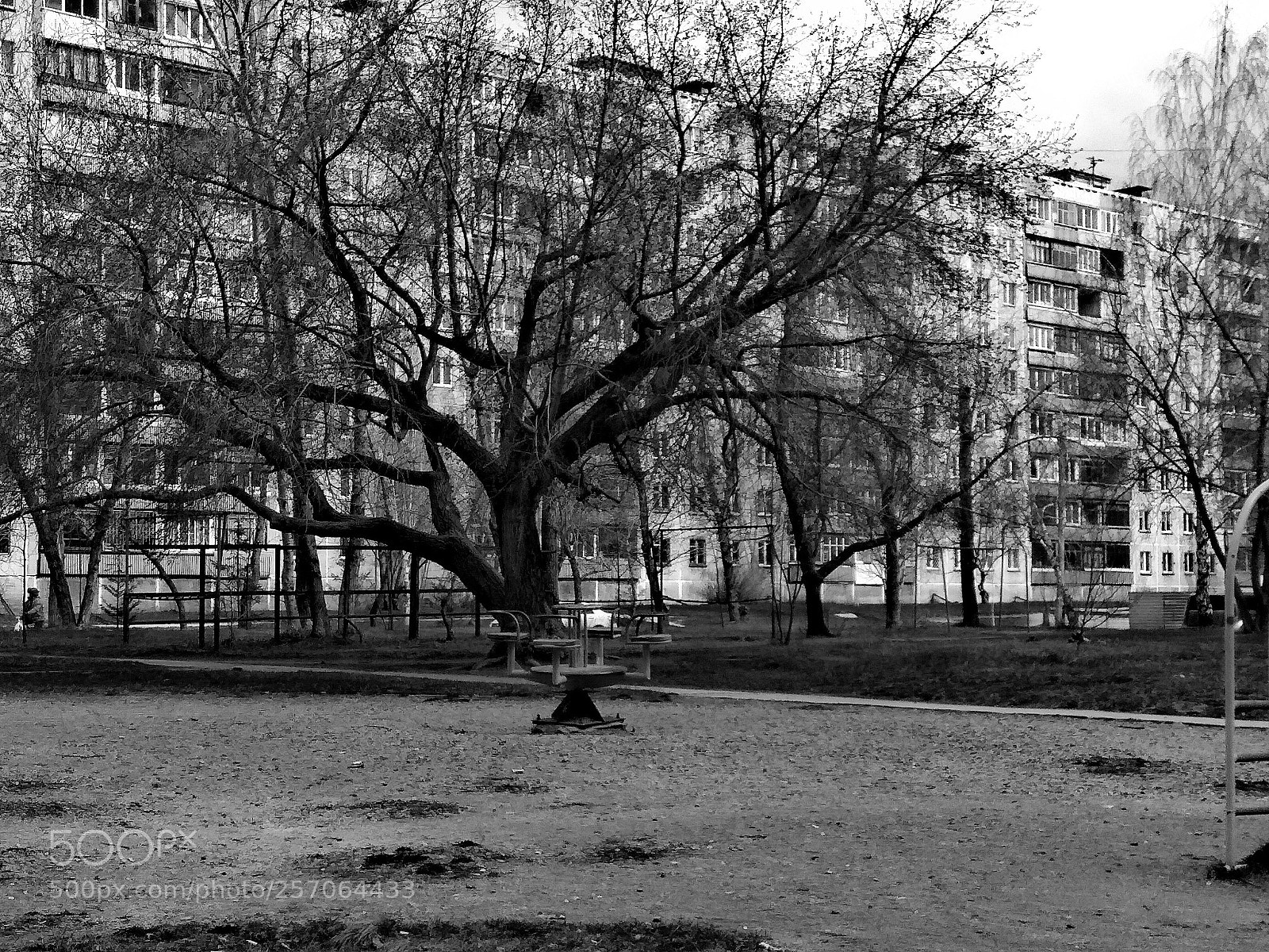 Xiaomi Redmi Note 4 sample photo. Весна photography