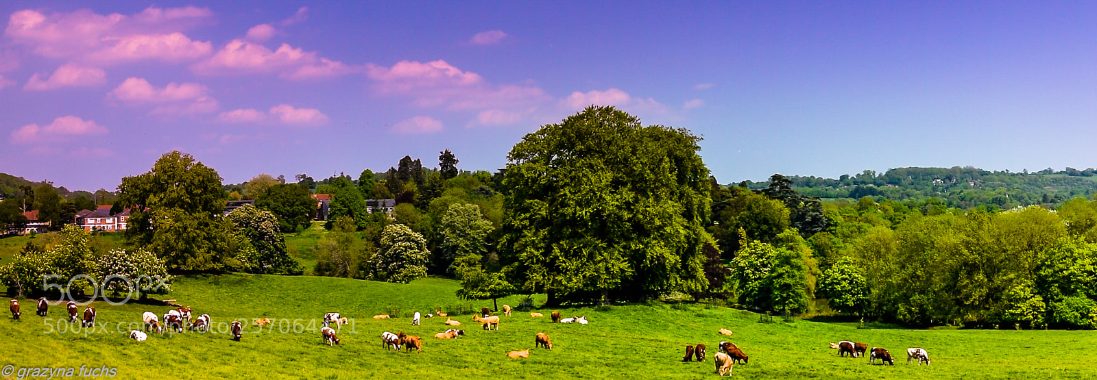 Nikon D3300 sample photo. Gatton park photography