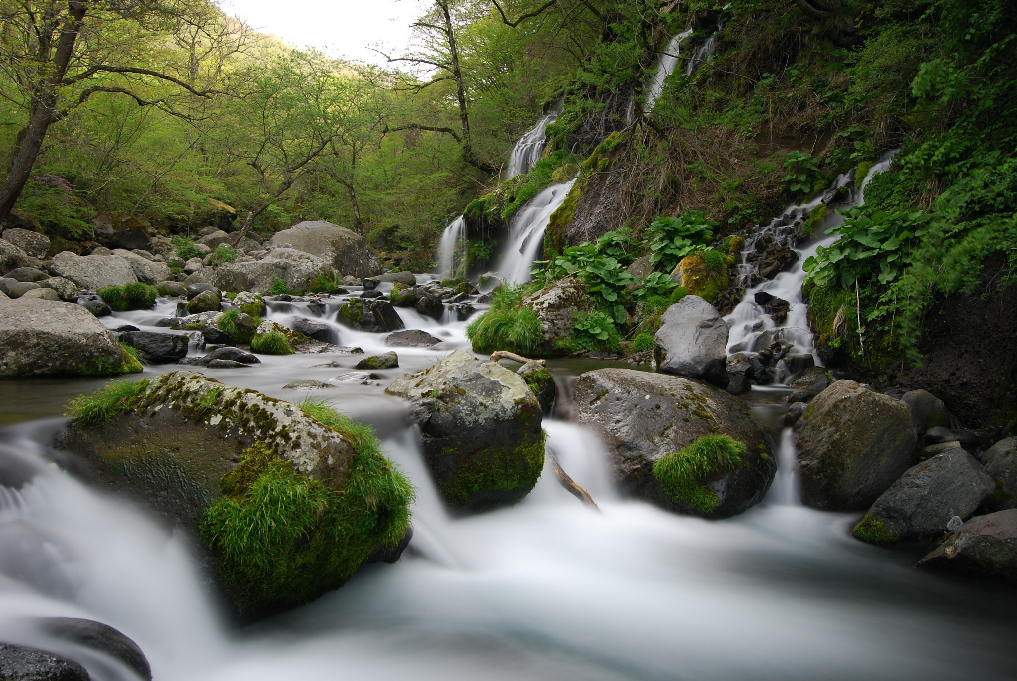 Nikon D40X sample photo. Spring river. photography