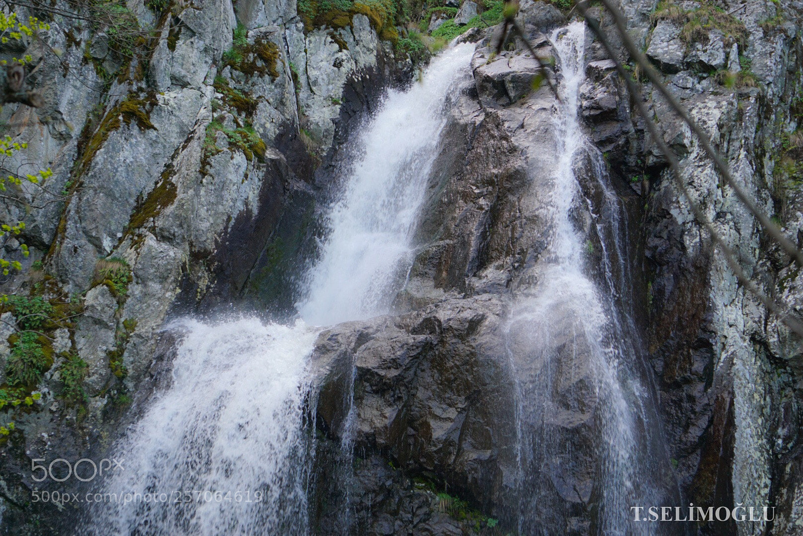 Sony a6000 sample photo. Boyana waterfalls photography