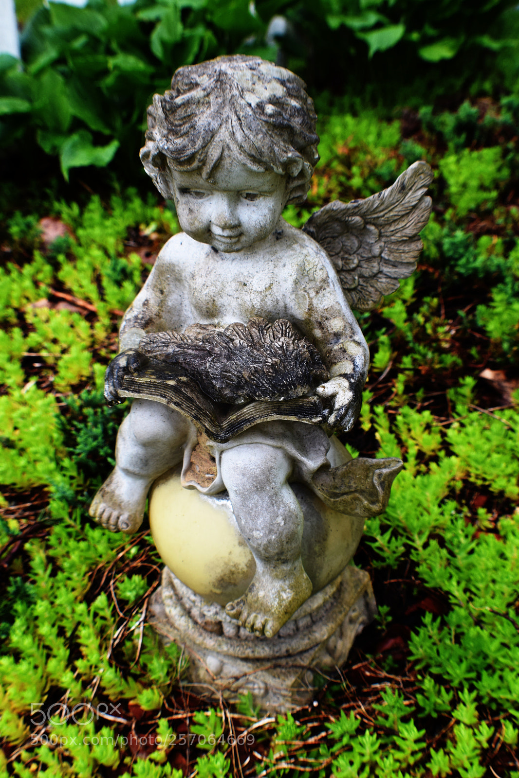 Nikon D3300 sample photo. Untitled photography
