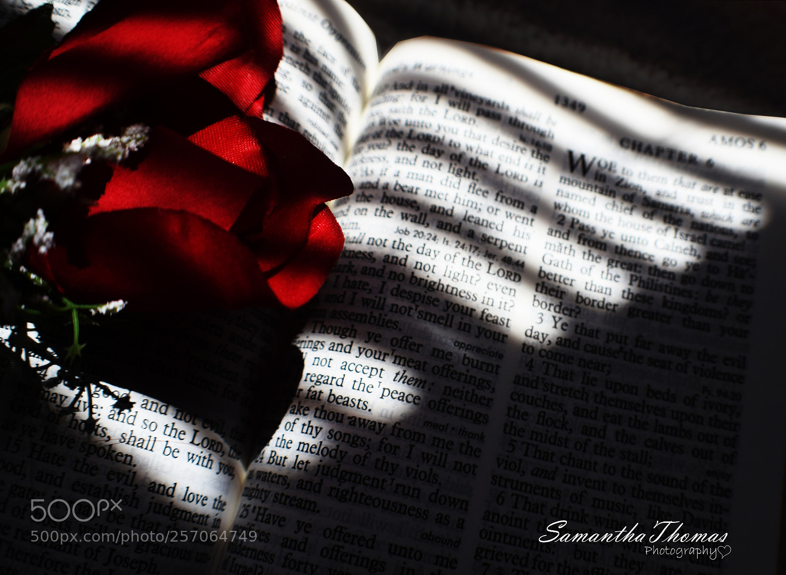 Nikon D3300 sample photo. Untitled photography