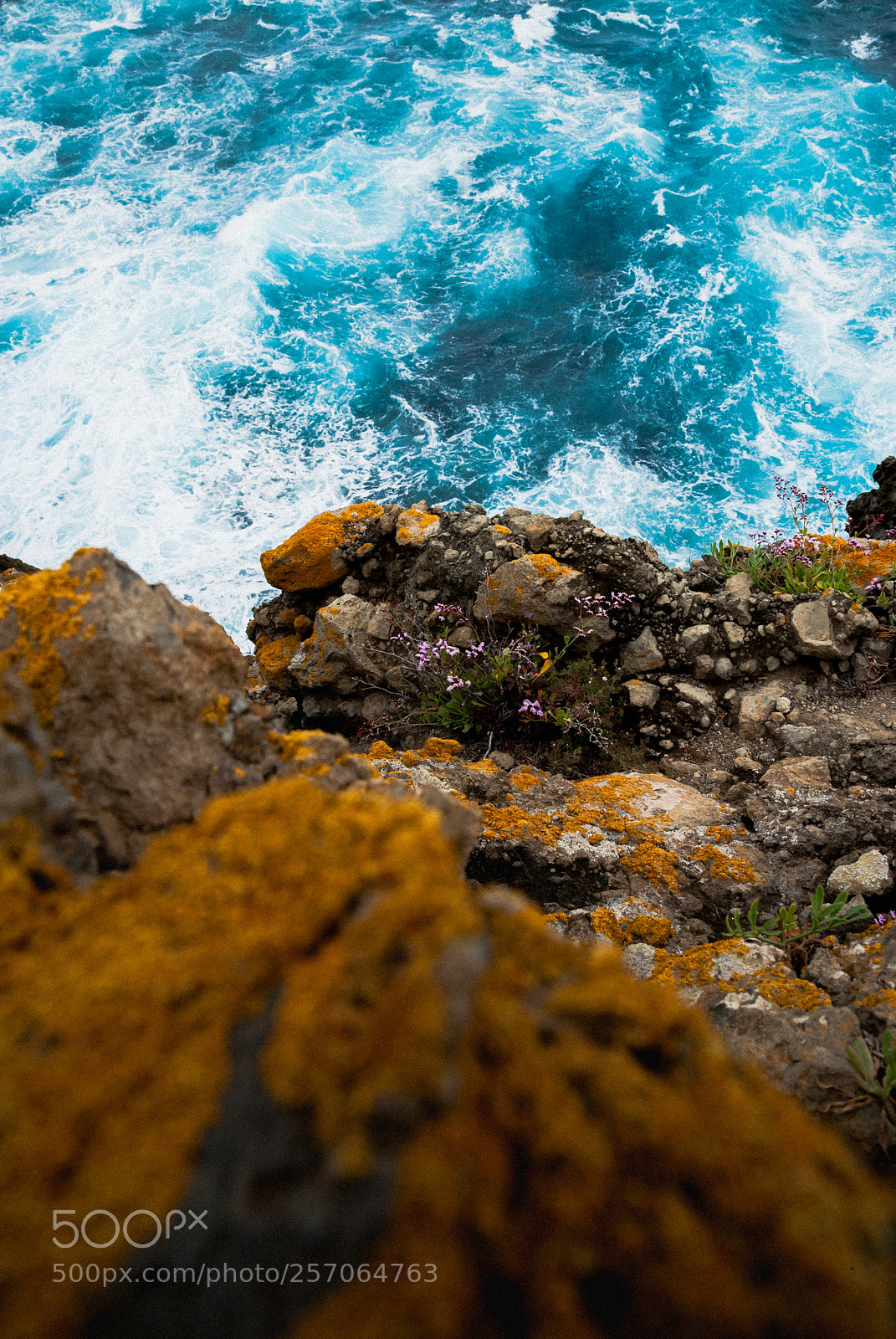 Canon EOS-1Ds Mark II sample photo. Natural wisdom photography