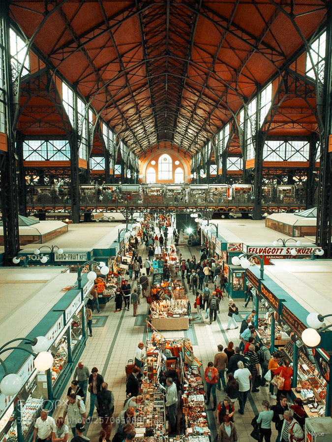 Fujifilm X30 sample photo. Budapest's market hall photography