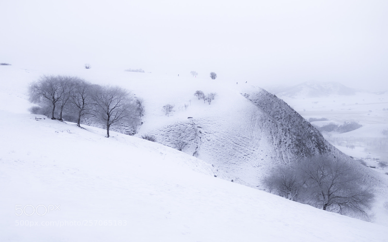 Olympus OM-D E-M10 sample photo. 水墨雪域 photography