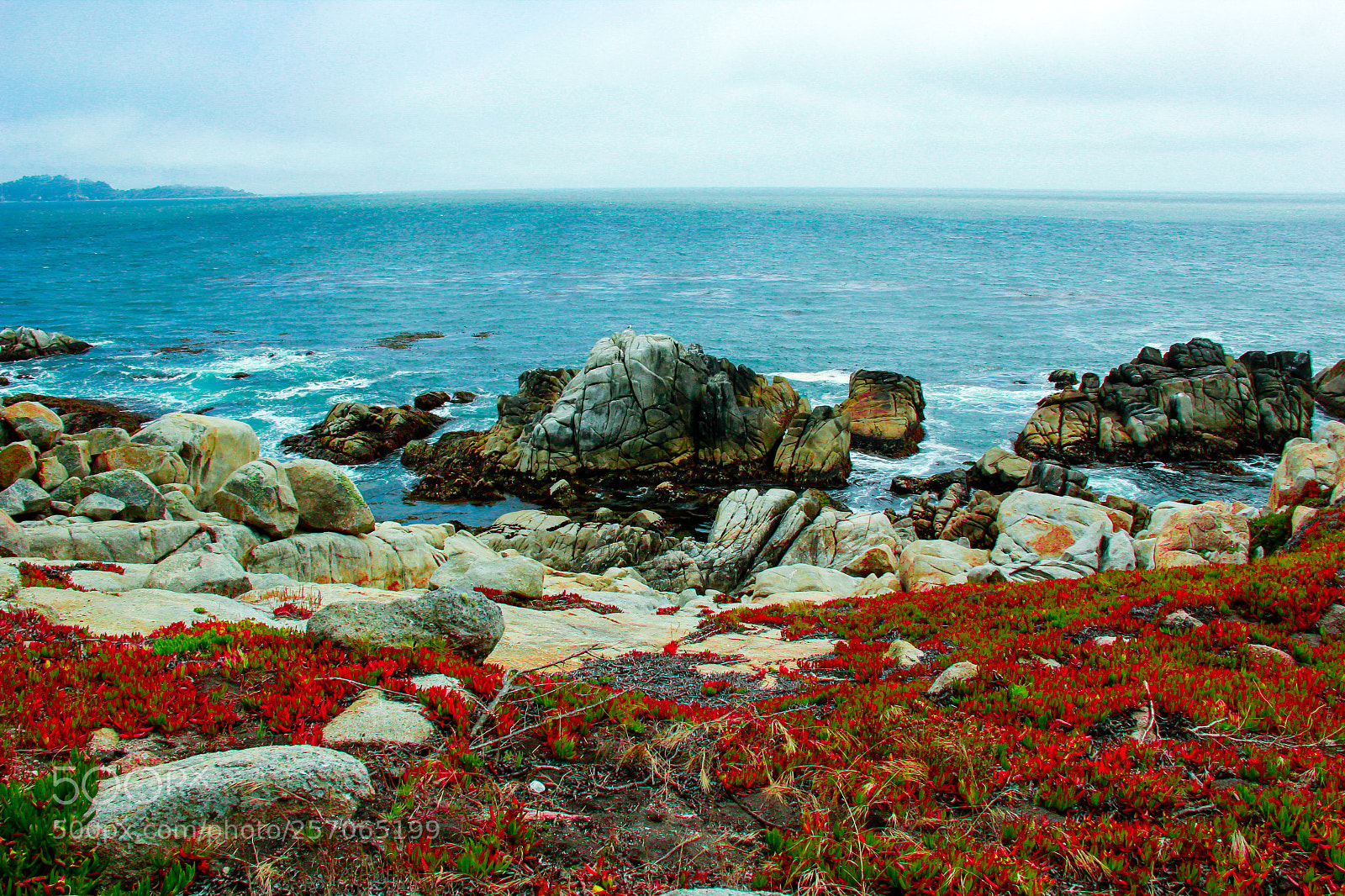 Canon EOS 60D sample photo. Monterey bay photography