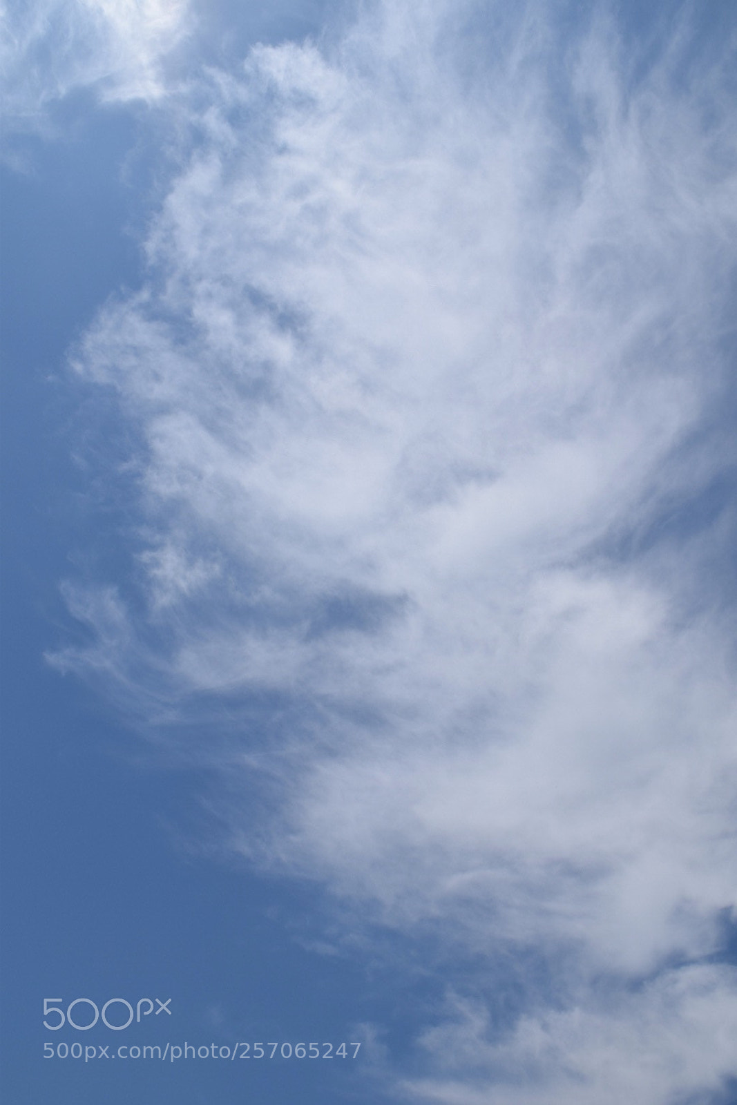 Nikon D3300 sample photo. Giant in the sky photography