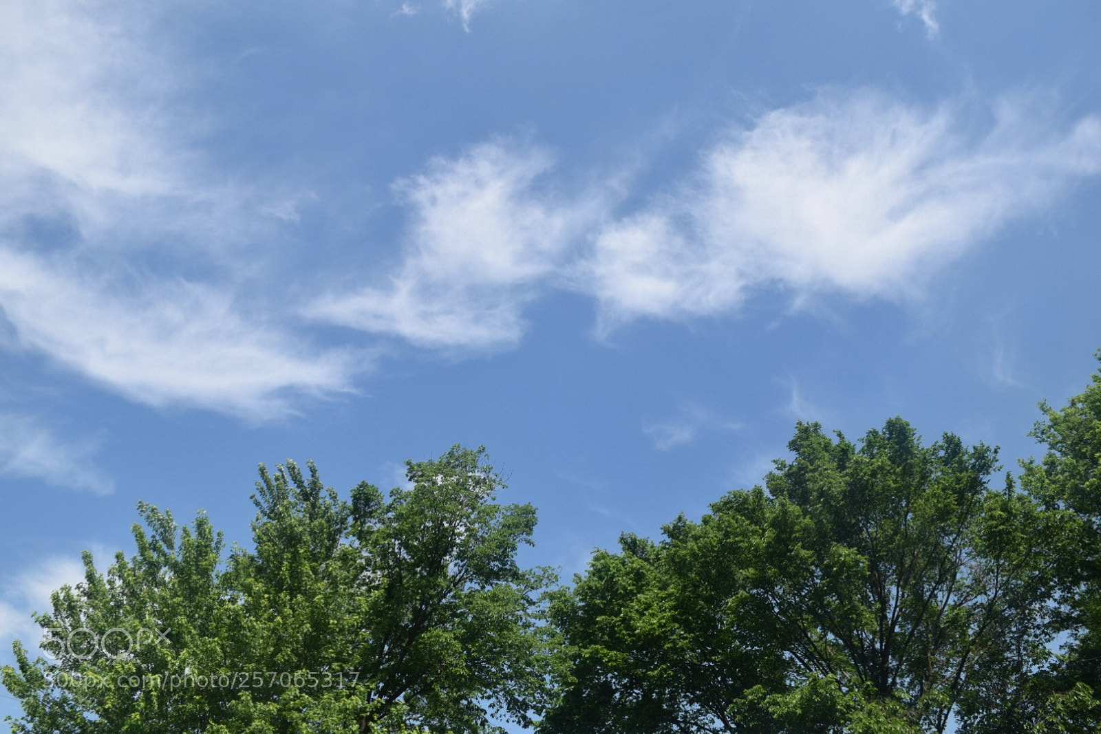 Nikon D3300 sample photo. Split photography