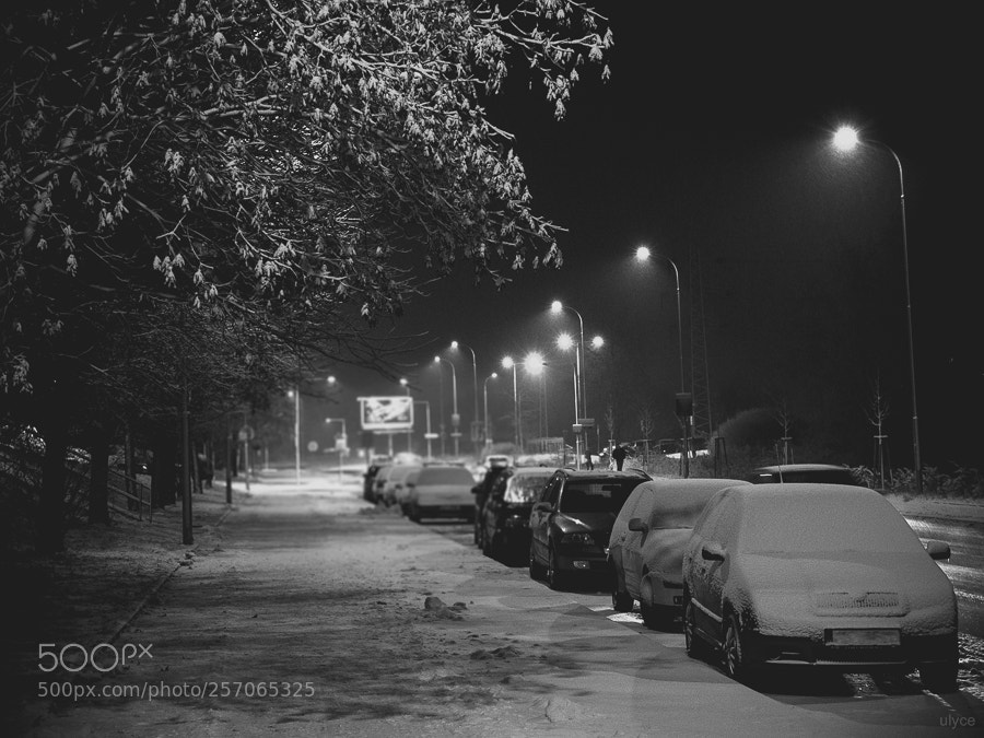 Fujifilm X30 sample photo. Ghost of the winter photography