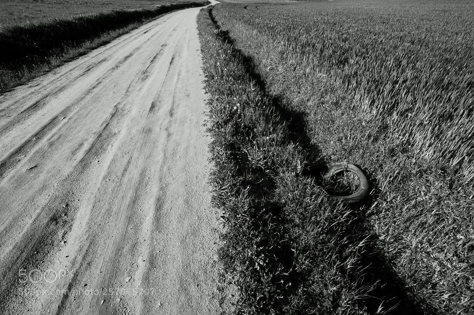 Sony SLT-A58 sample photo. On the road. photography