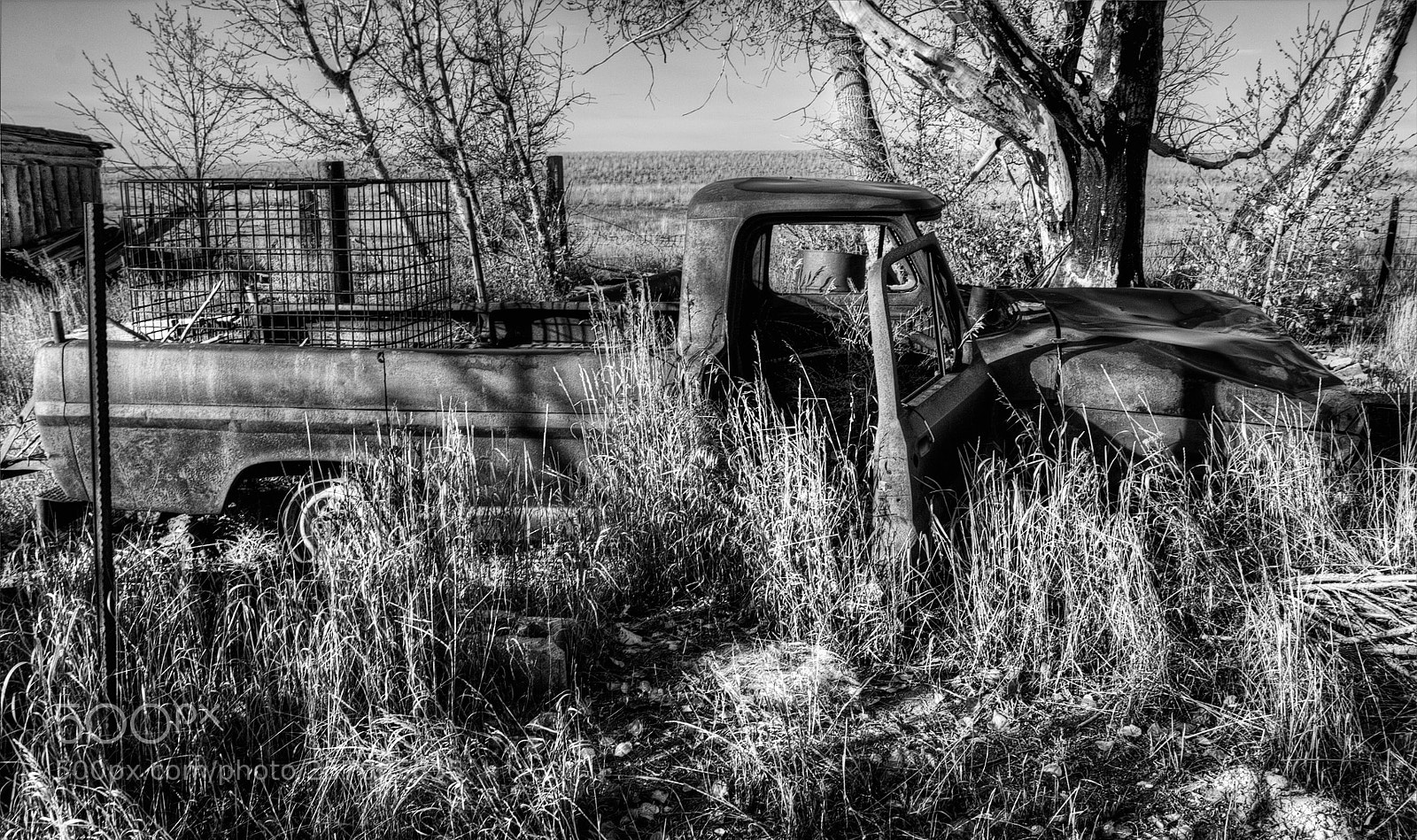 Canon EOS 60D sample photo. What changed here? photography