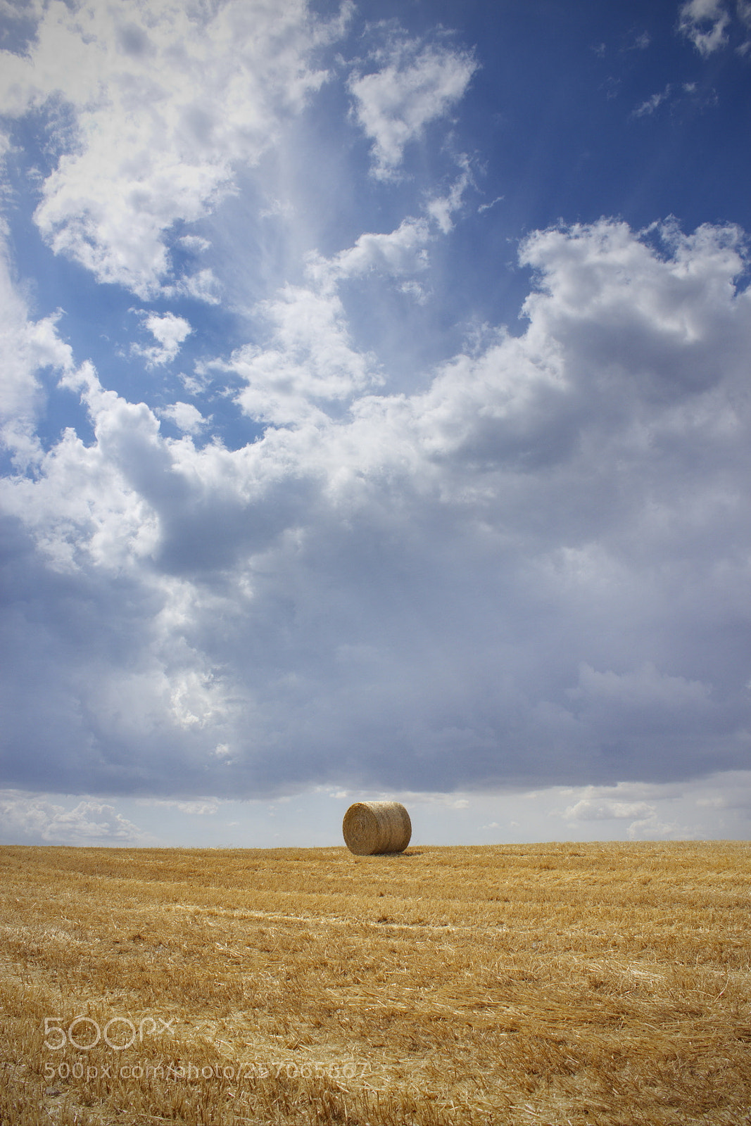 Canon EOS 700D (EOS Rebel T5i / EOS Kiss X7i) sample photo. Harvest photography