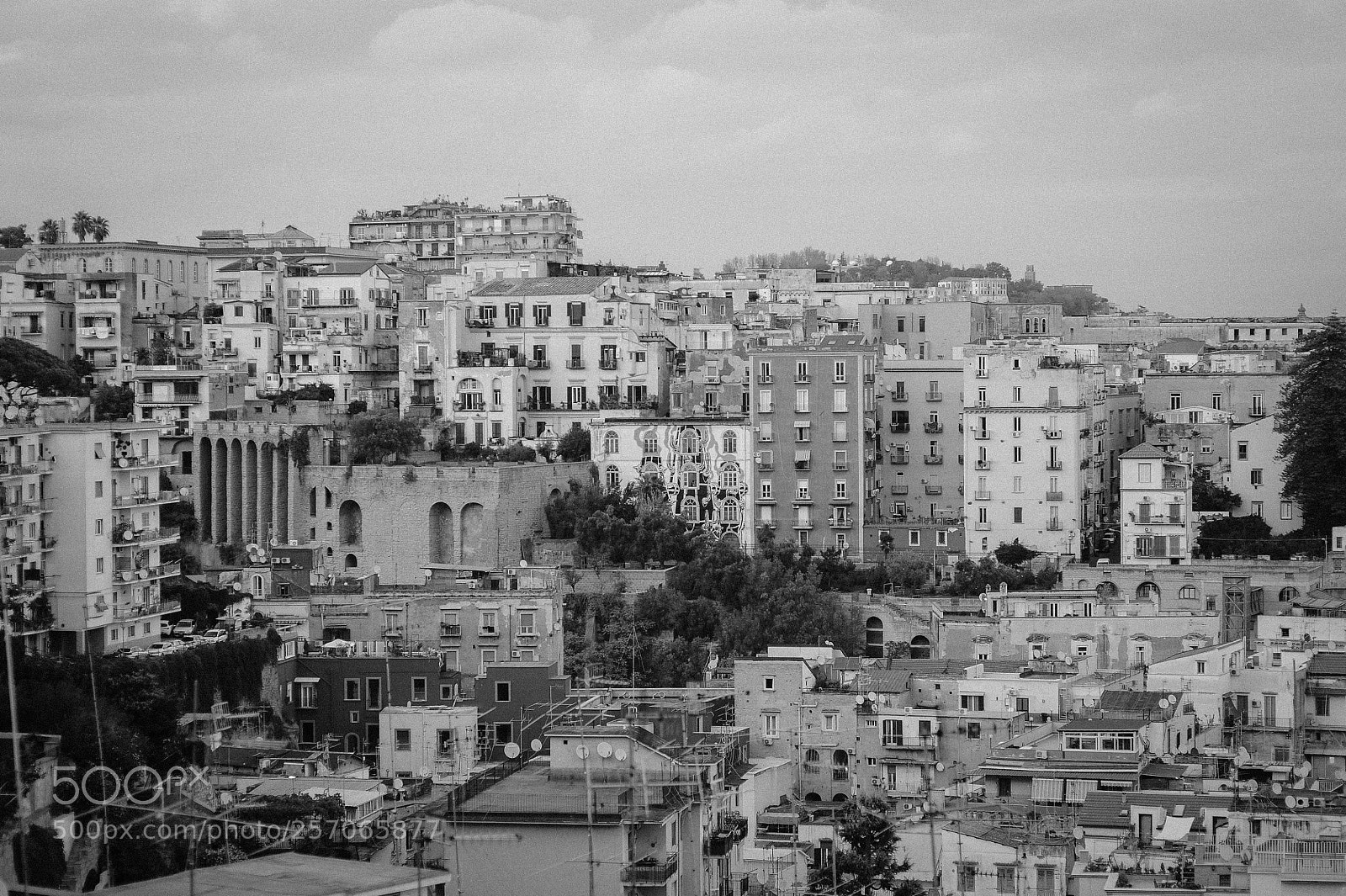 Nikon D700 sample photo. Parco ventaglieri photography