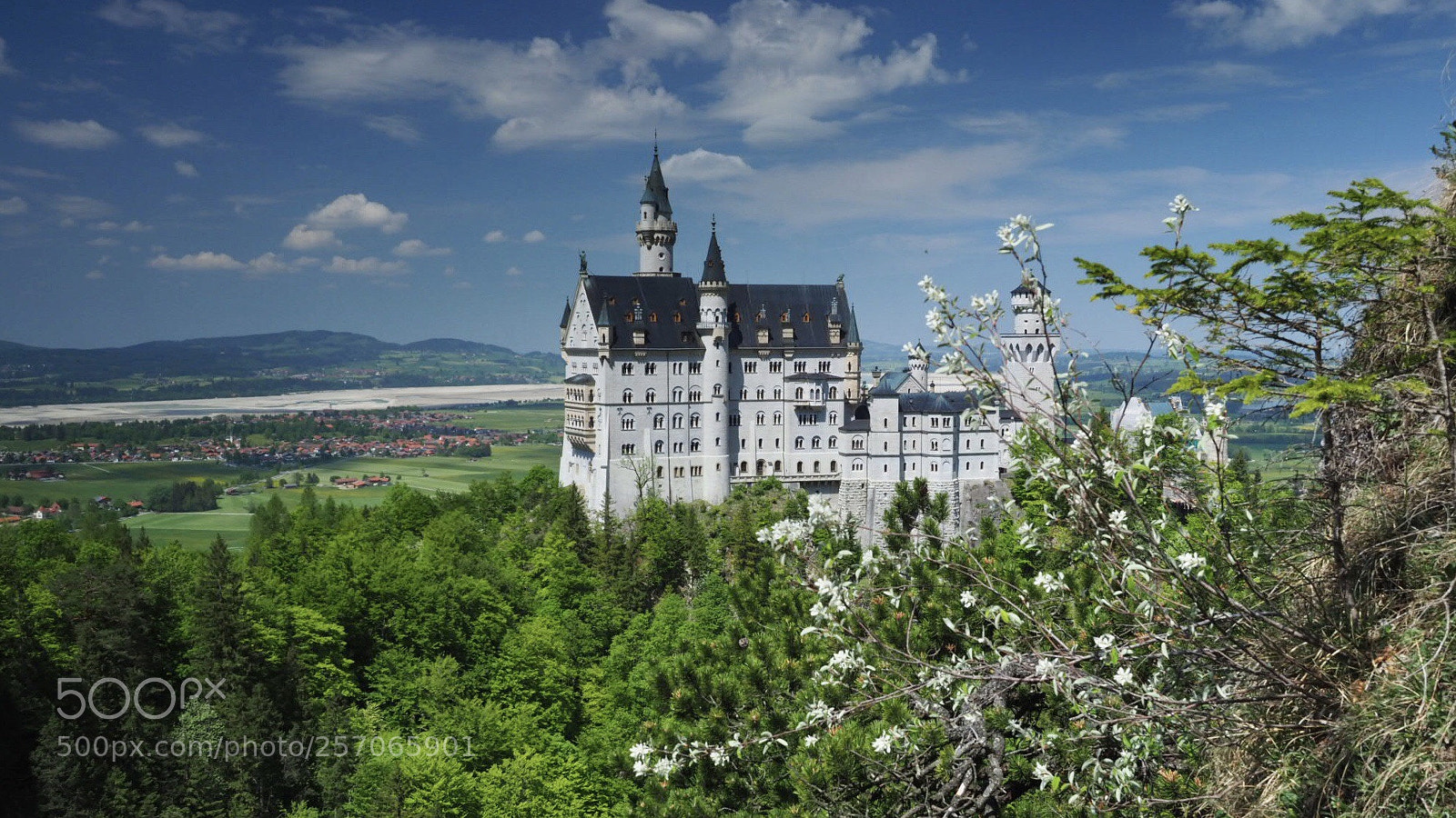 Olympus OM-D E-M1 Mark II sample photo. Schloss neuschwanstein  photography