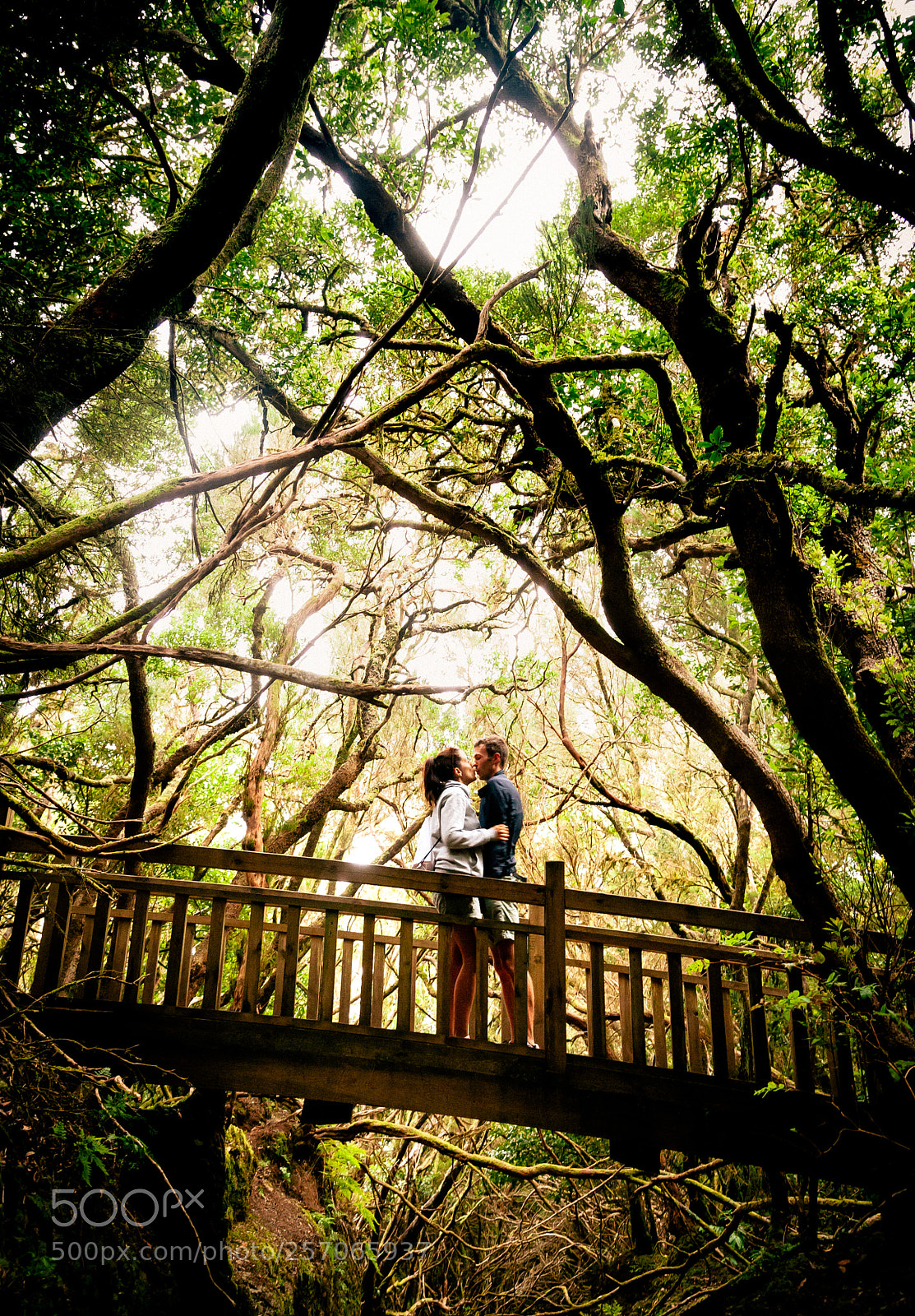 Canon EOS-1Ds Mark II sample photo. Forest hug photography