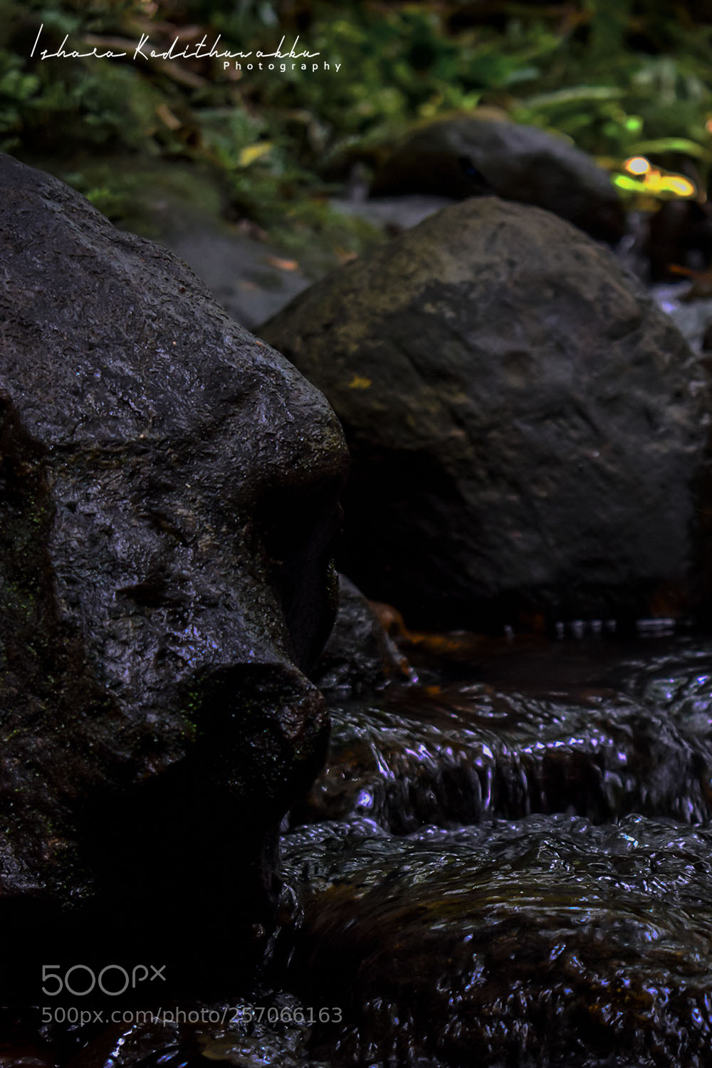 Nikon D3300 sample photo. Untitled photography