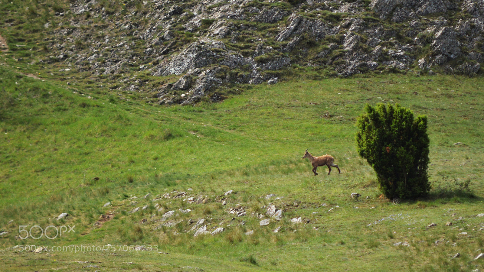 Nikon D3200 sample photo. Untitled photography