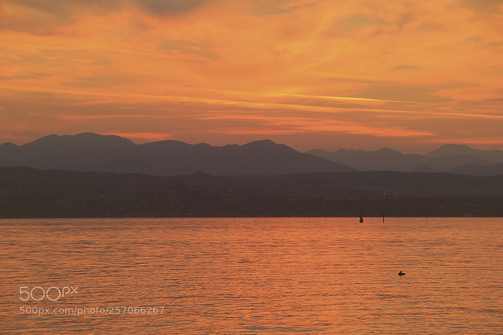 Canon EOS 60D sample photo. The evening light photography