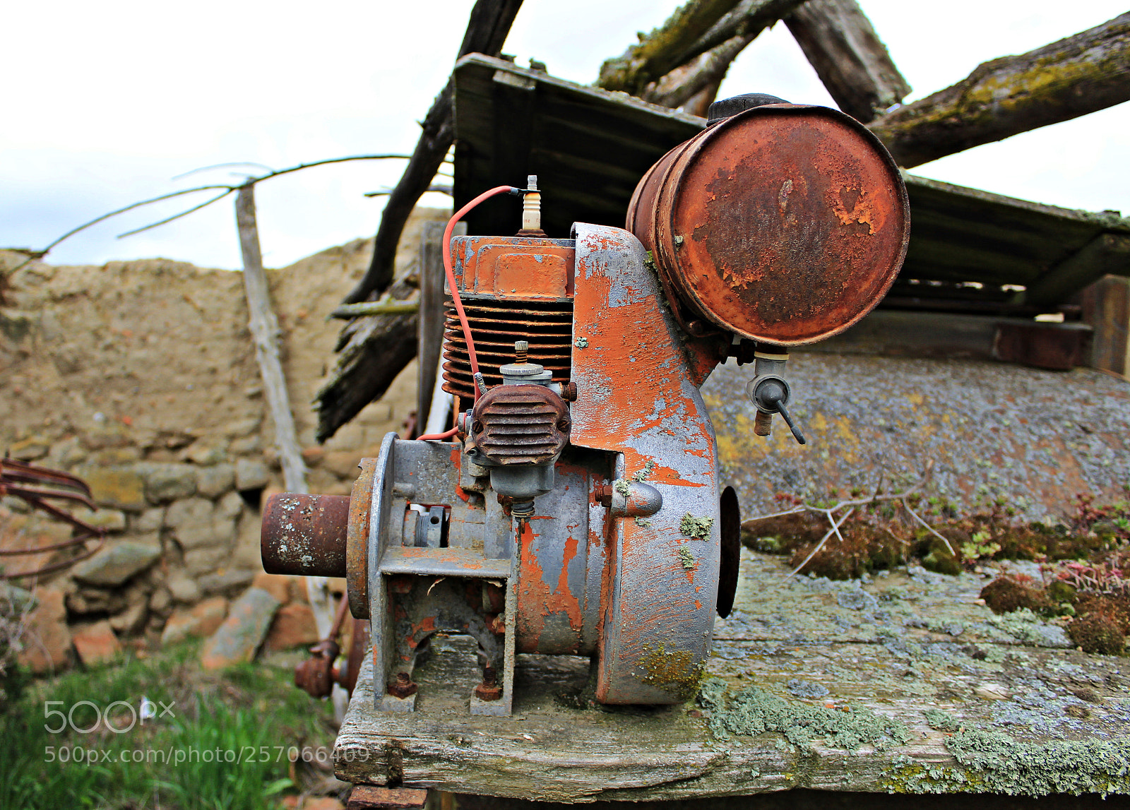 Canon EOS 1300D (EOS Rebel T6 / EOS Kiss X80) sample photo. Motor en el campo photography