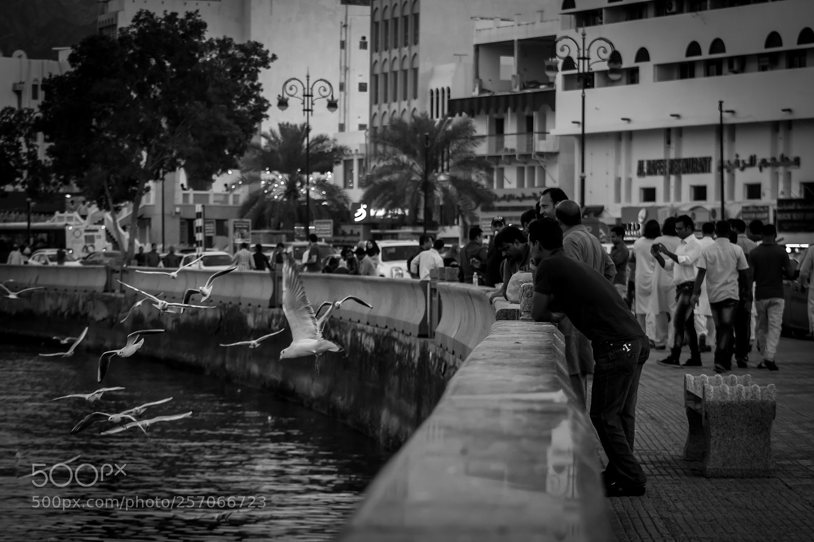 Canon EOS 100D (EOS Rebel SL1 / EOS Kiss X7) sample photo. Walking down the street photography
