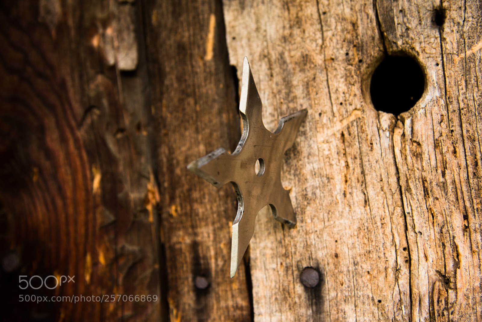 Nikon D810 sample photo. Ninja star photography