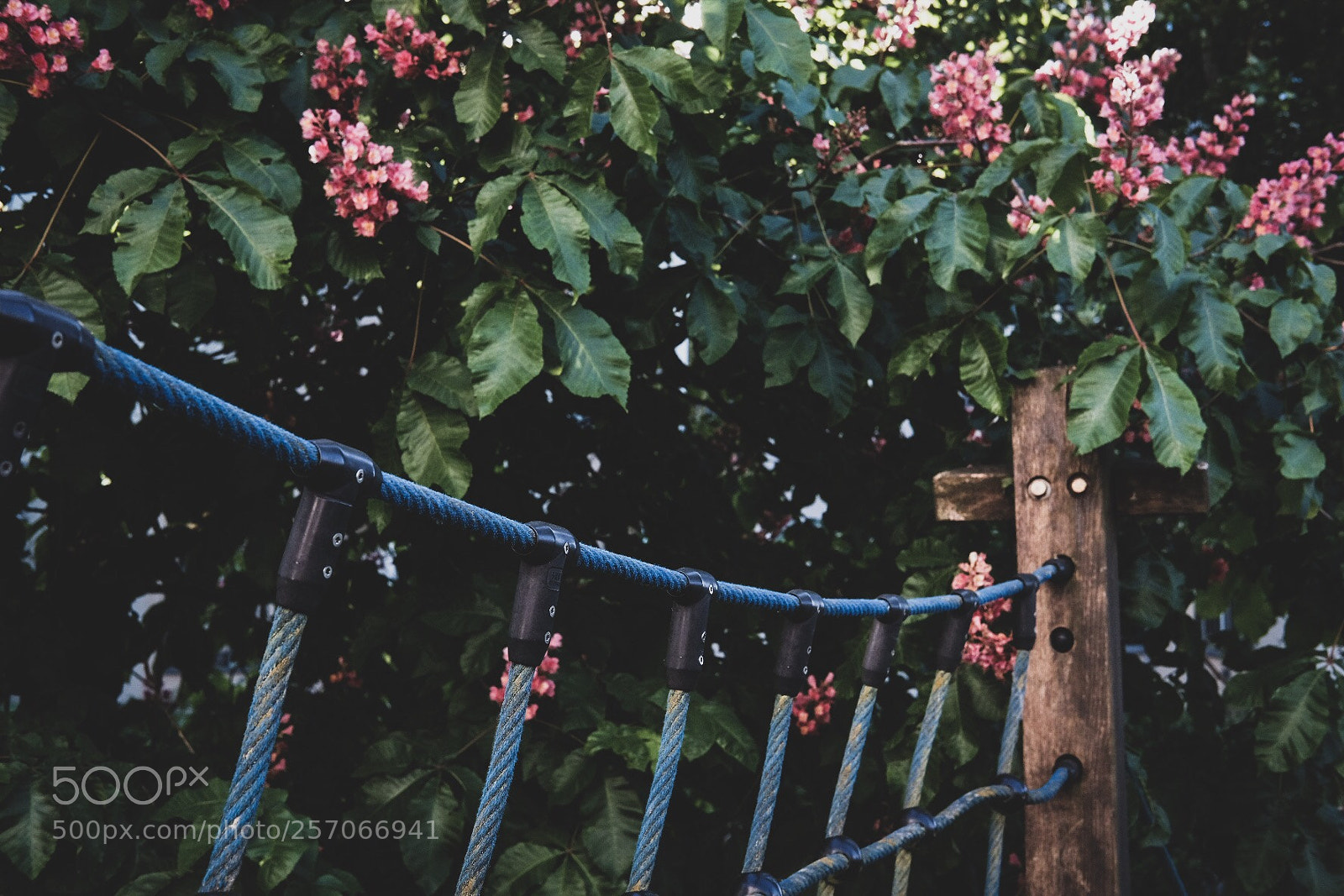 Fujifilm X-T2 sample photo. Playground  photography