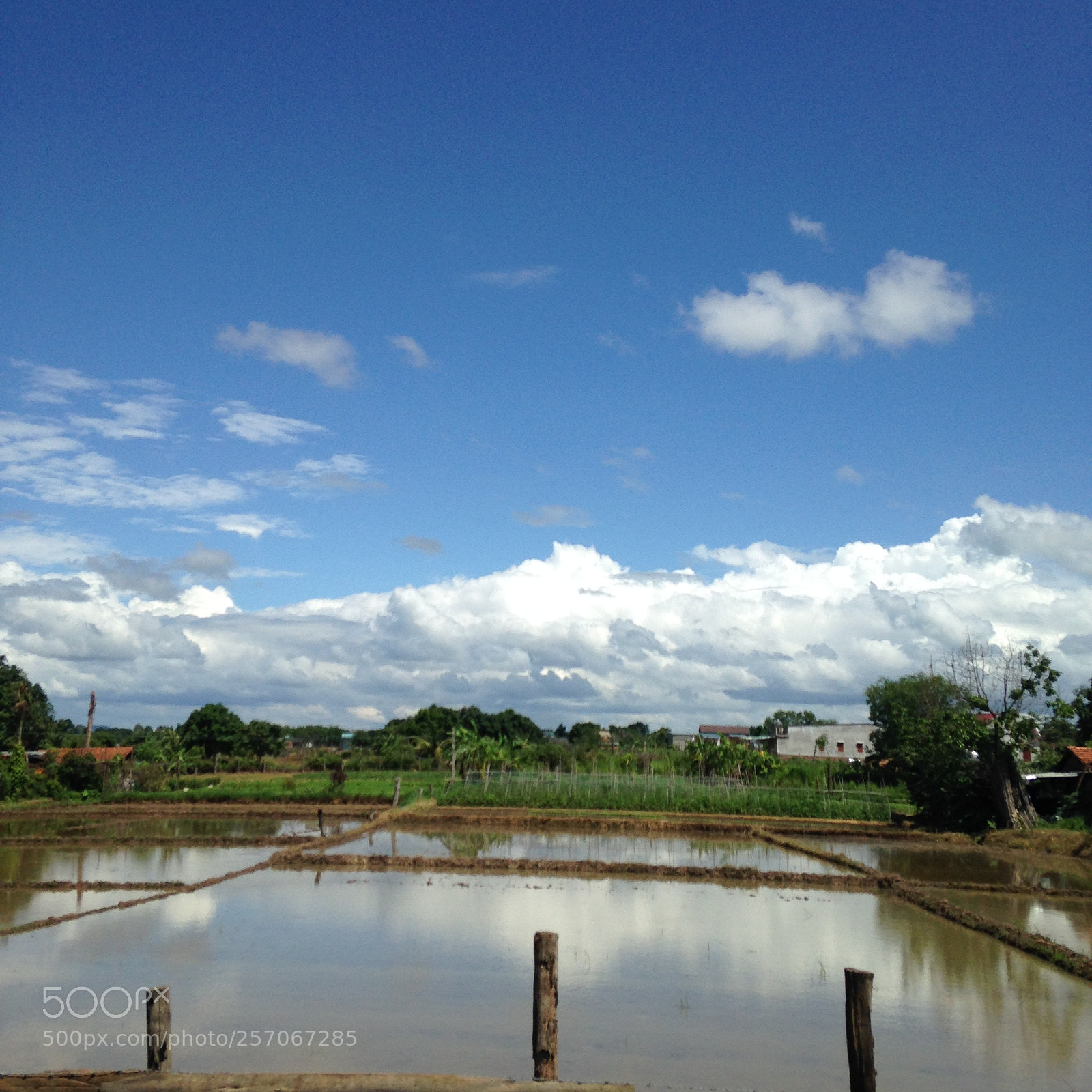 Apple iPhone 5c sample photo. Go home photography