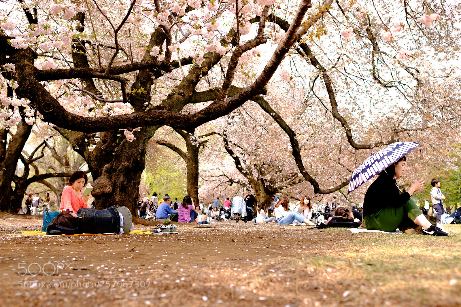 Fujifilm X-T10 sample photo. Untitled photography