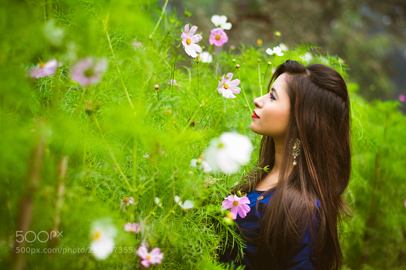 Nikon D5200 sample photo. Deepa photography