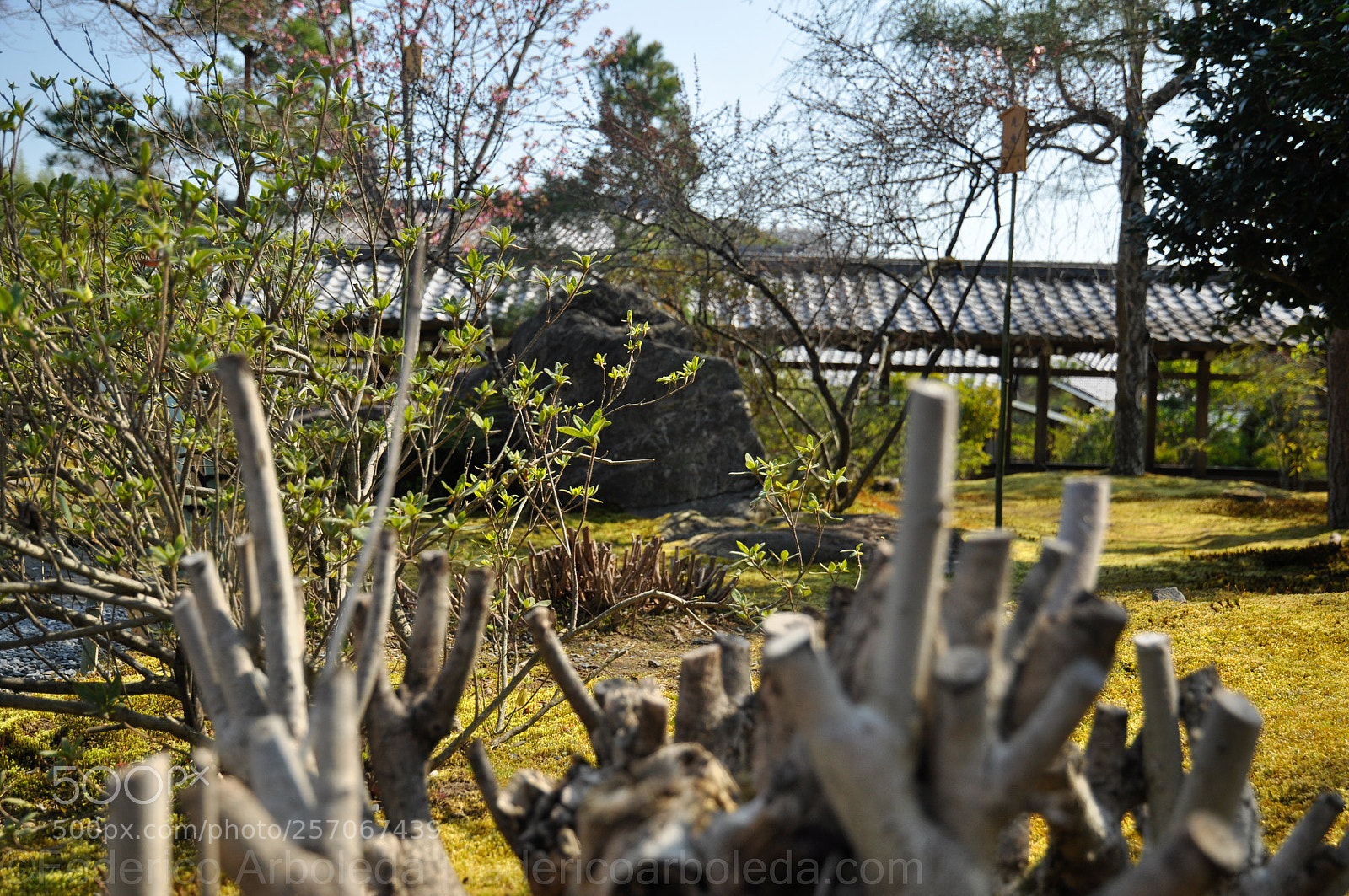 Nikon D90 sample photo. Smaller sights photography