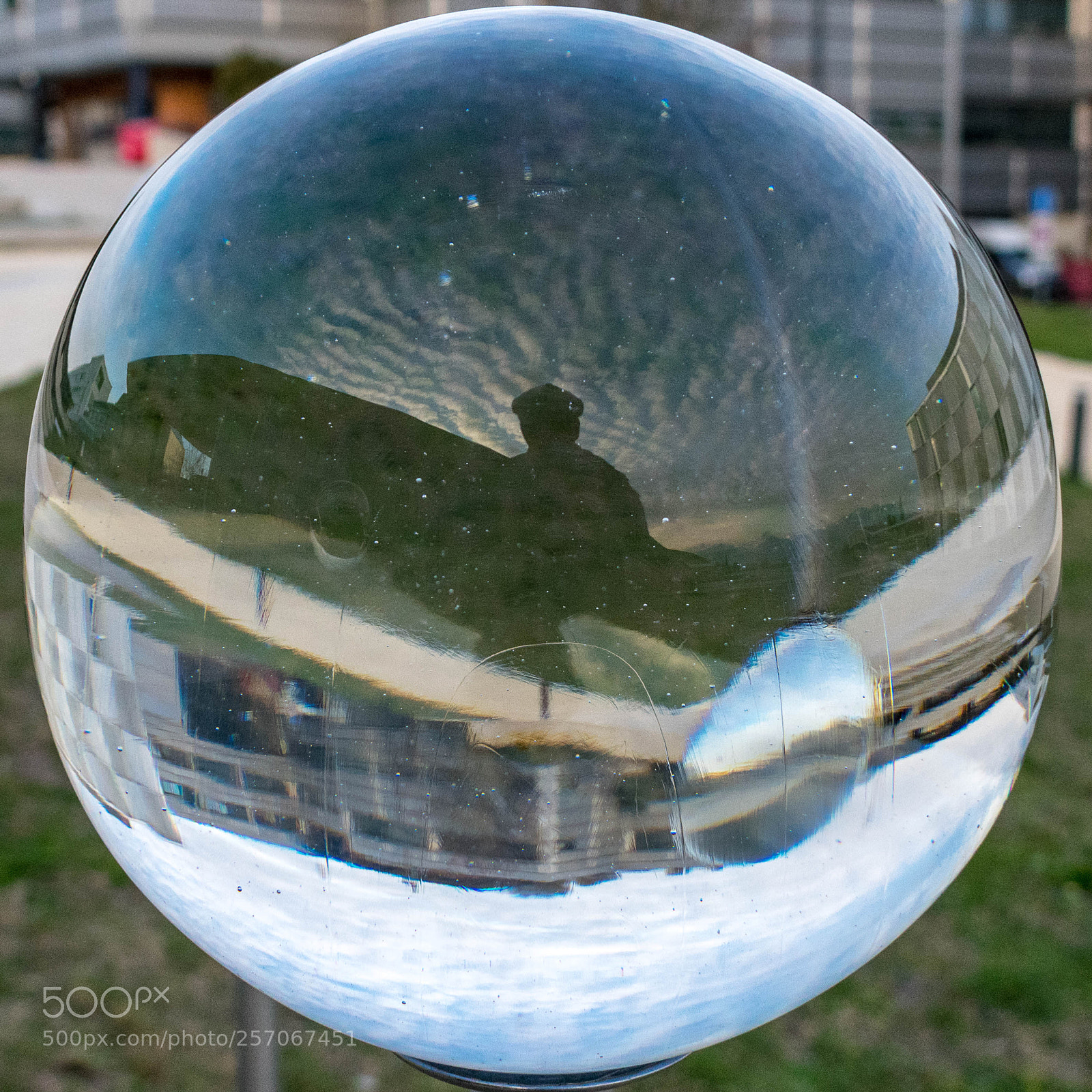 Nikon D3400 sample photo. Dans la boule photography
