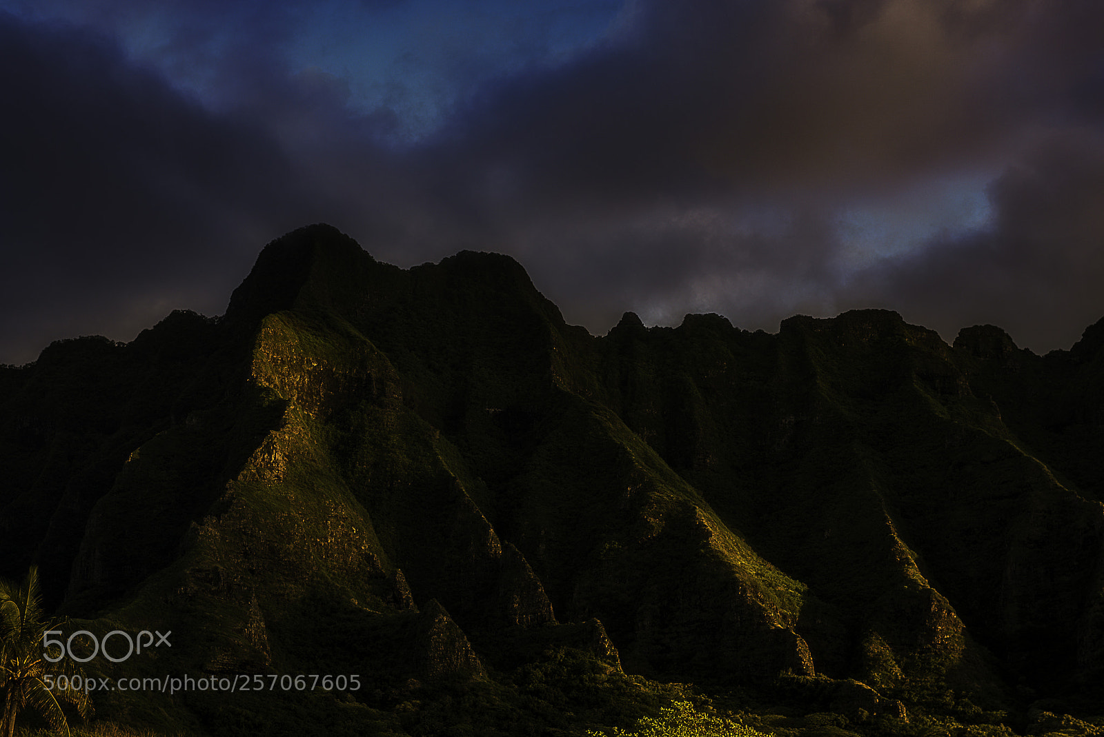 Nikon D750 sample photo. Koolau sunrise photography