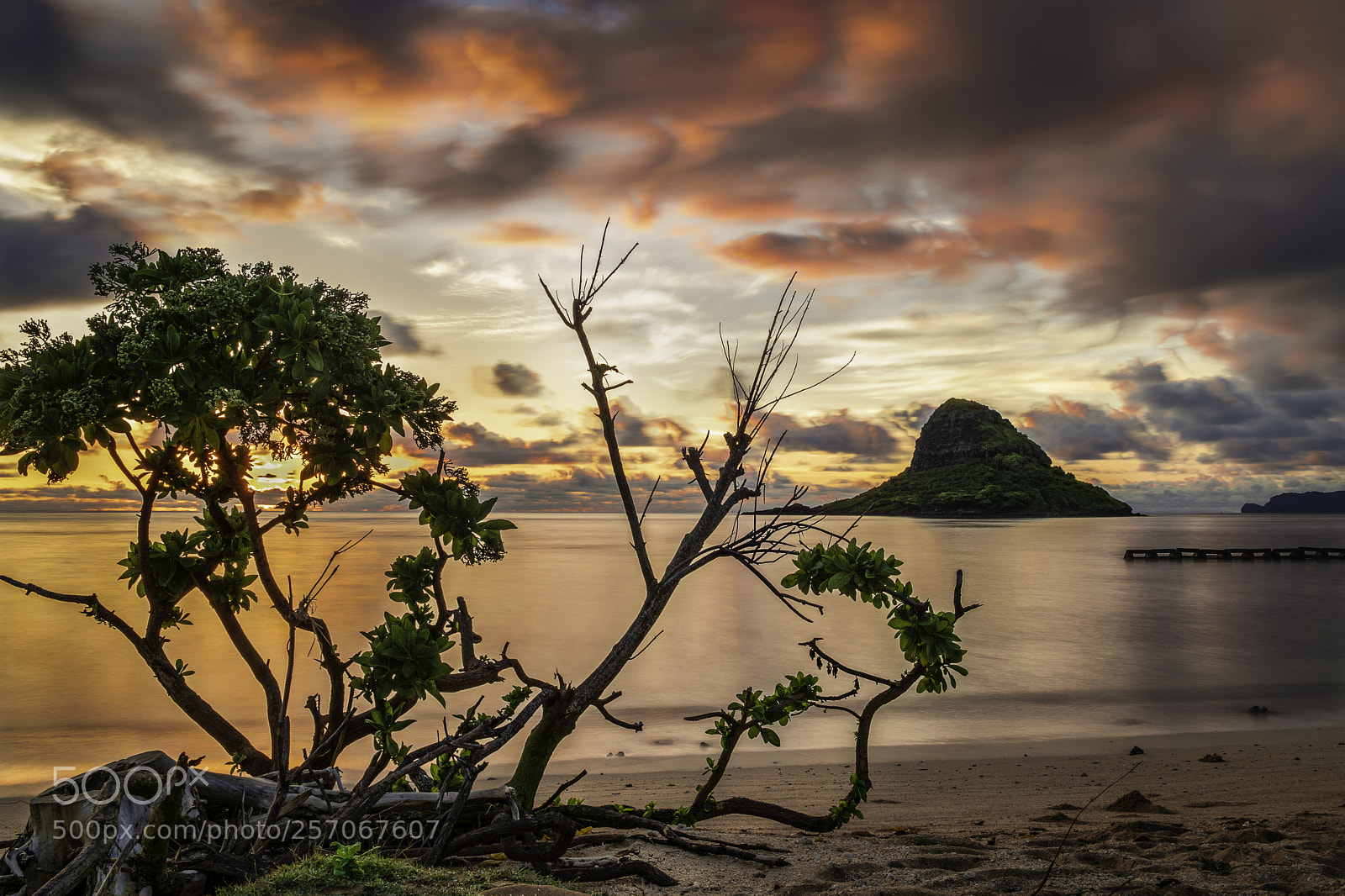 Nikon D750 sample photo. Chinaman's hat photography