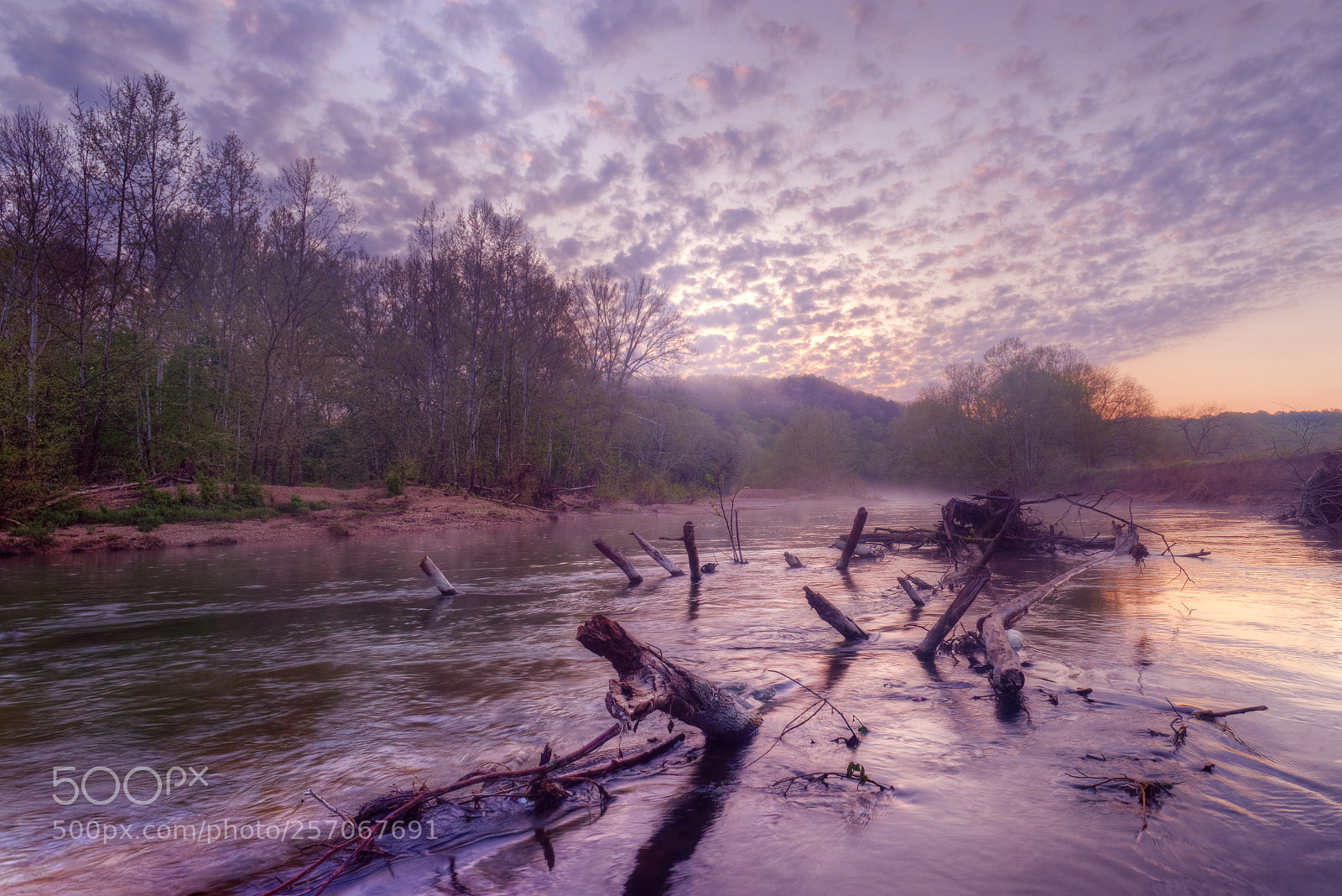 Nikon D610 sample photo. Niangua river photography