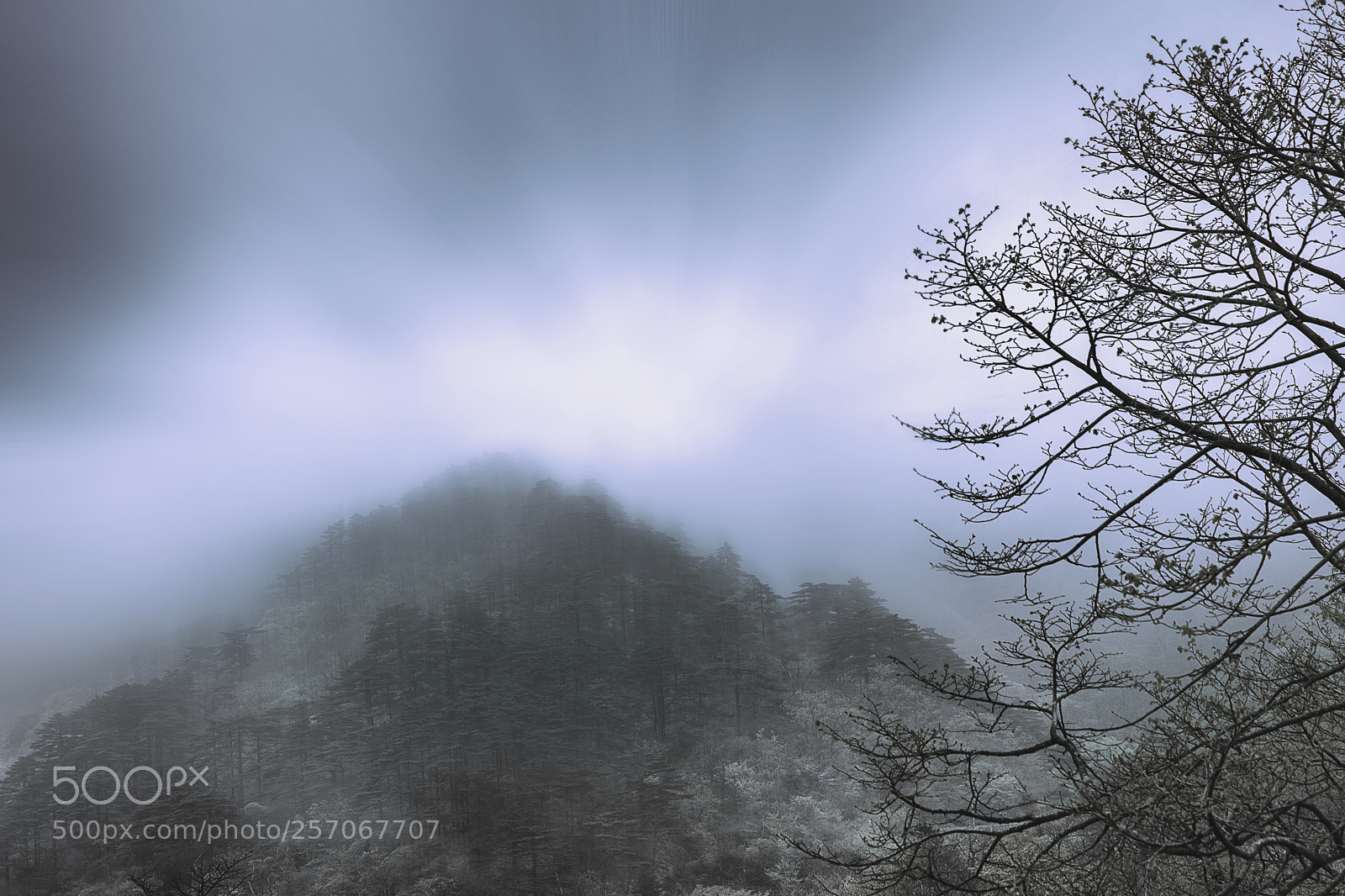 Nikon D810 sample photo. Mist in mountain photography