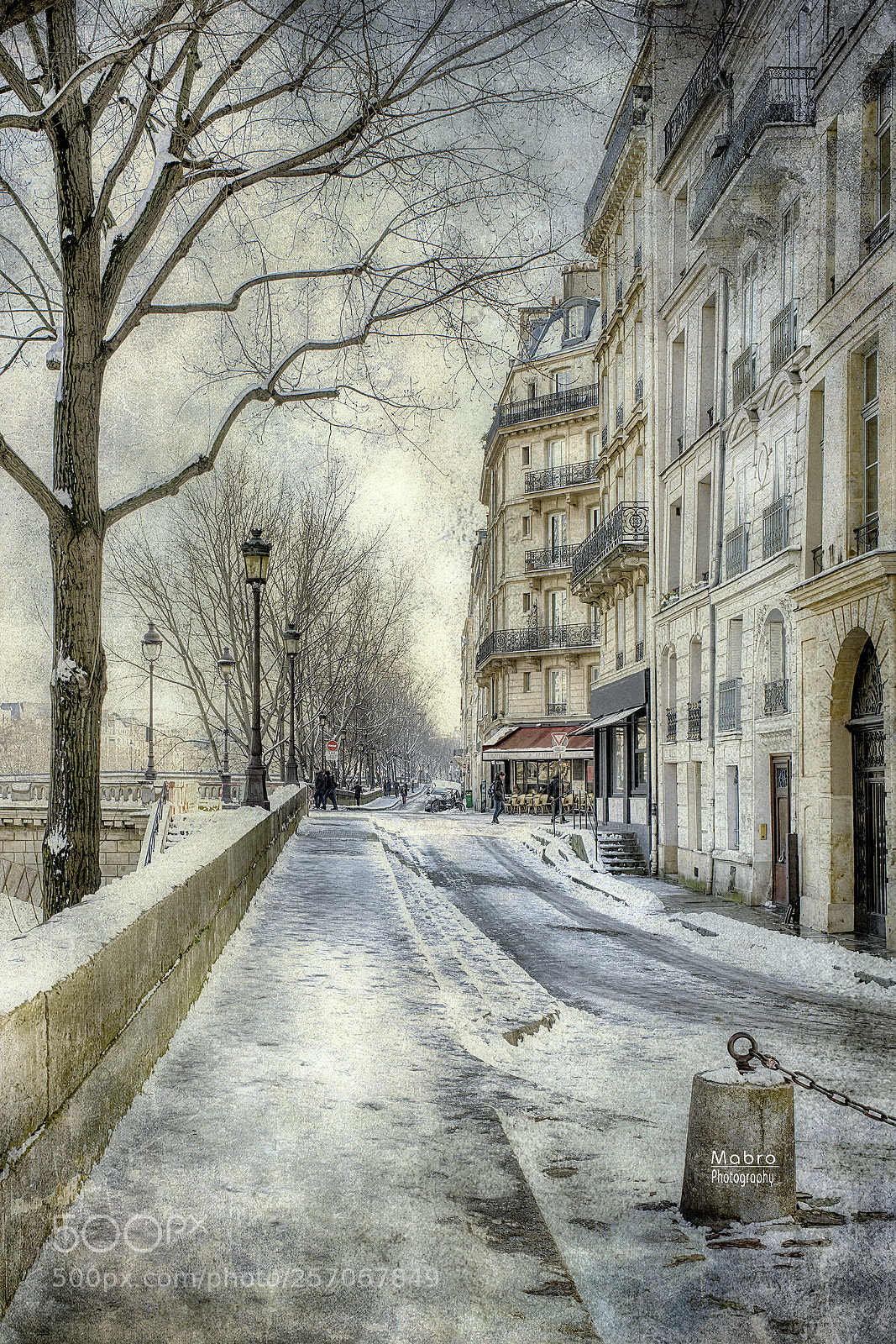 Nikon D800 sample photo. February in paris photography