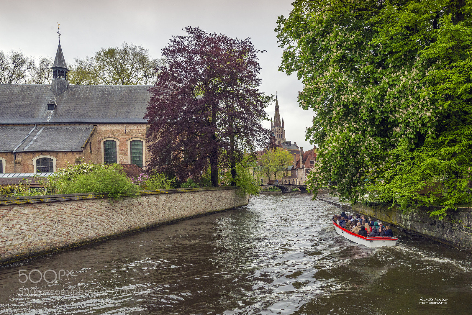 Nikon D800 sample photo. Pleasure trip on the photography